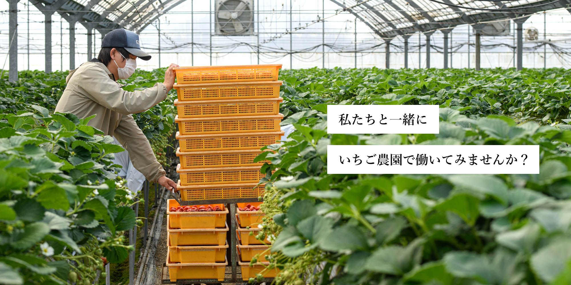 私たちと一緒に働いてみませんか