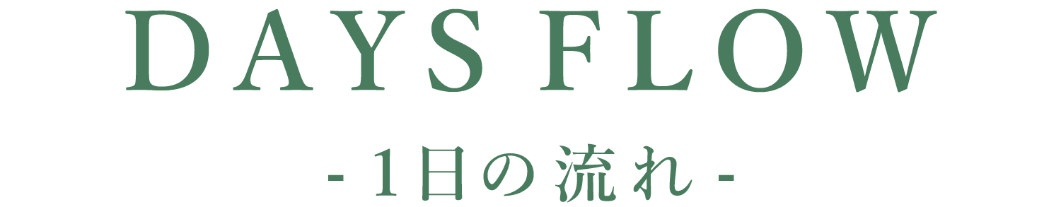 1日の流れ