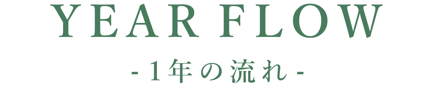 1年の流れ